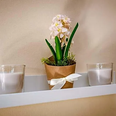 Cconforthotels Dolci Emozioni 3* Bari